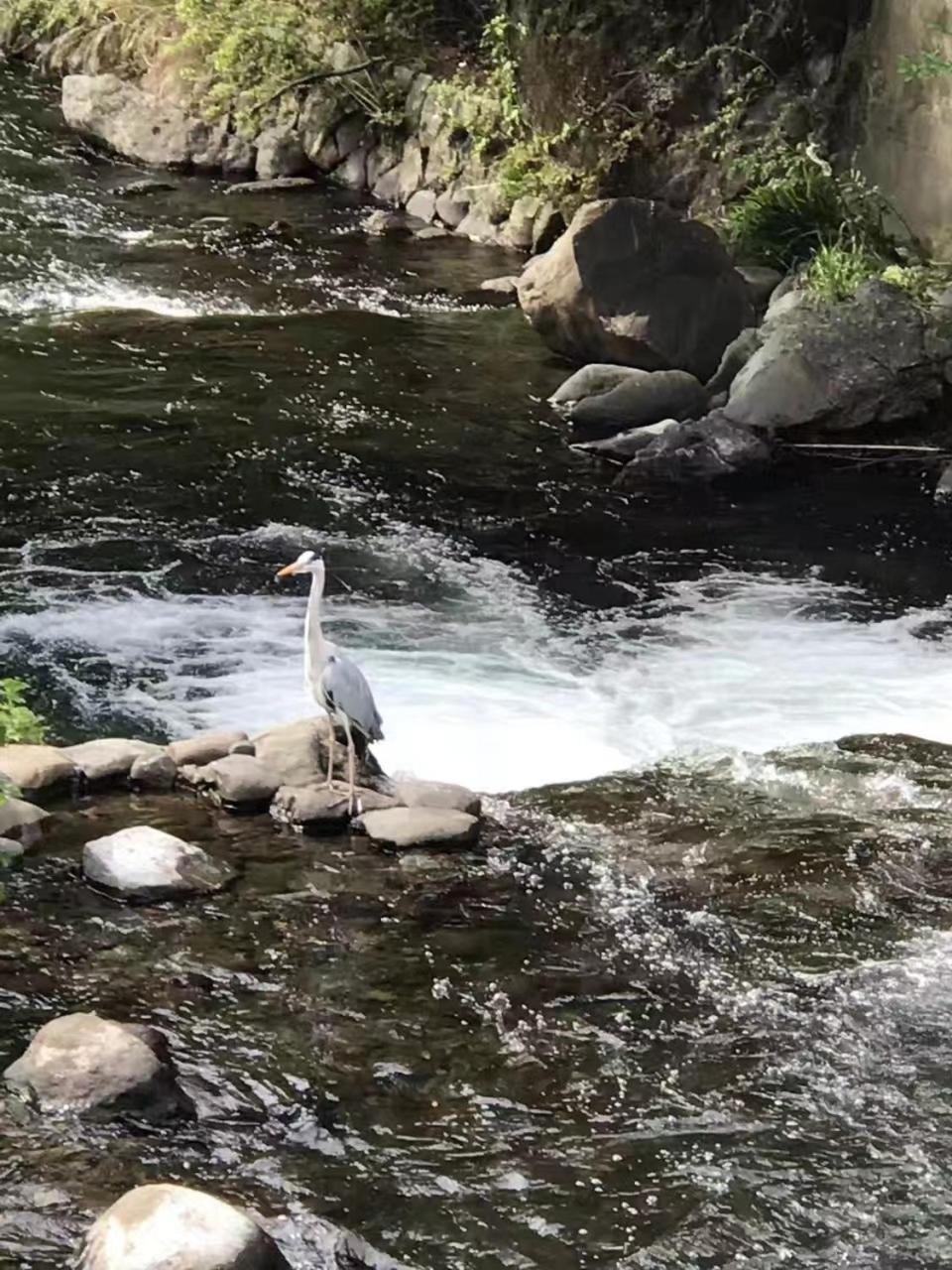天然温泉旅館雅竹 宮加三 エクステリア 写真